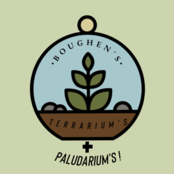 Boughen's terrariums and paludariums